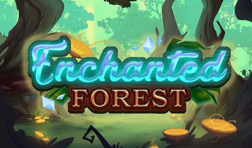 Enchanted Forest